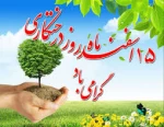 درختکاری 2